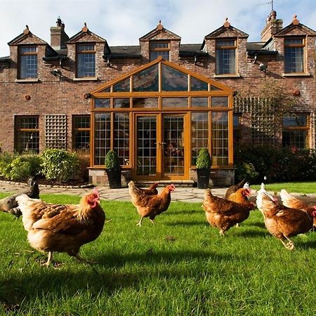Blackwell House Banbridge Bagian luar foto