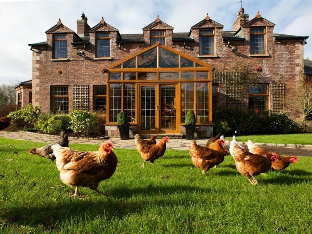 Blackwell House Banbridge Bagian luar foto
